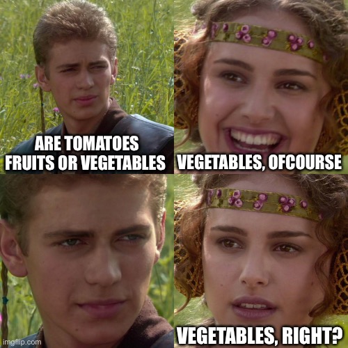 Oof | ARE TOMATOES FRUITS OR VEGETABLES; VEGETABLES, OFCOURSE; VEGETABLES, RIGHT? | image tagged in anakin padme 4 panel | made w/ Imgflip meme maker