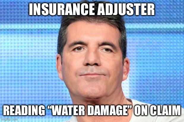 Insurance Adjuster | INSURANCE ADJUSTER READING “WATER DAMAGE” ON CLAIM | image tagged in simon cowell unimpressed,insurance,adjuster,flood,water | made w/ Imgflip meme maker