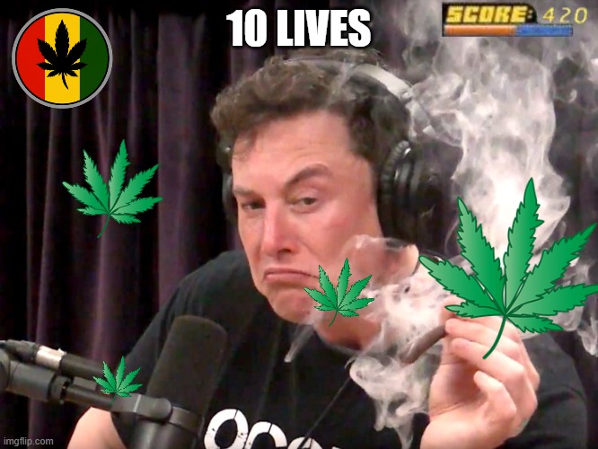 Elon Musk Weed | 10 LIVES | image tagged in elon musk weed | made w/ Imgflip meme maker