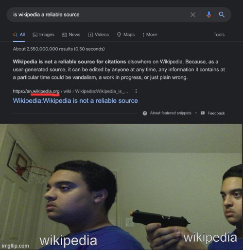idk what to put here 0_o | wikipedia; wikipedia | image tagged in wikepida is a reliable source | made w/ Imgflip meme maker