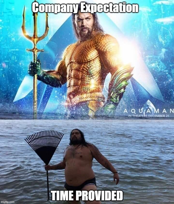 What they want in 1 week | Company Expectation; TIME PROVIDED | image tagged in me vs reality - aquaman,fun,meme,memes,programming | made w/ Imgflip meme maker