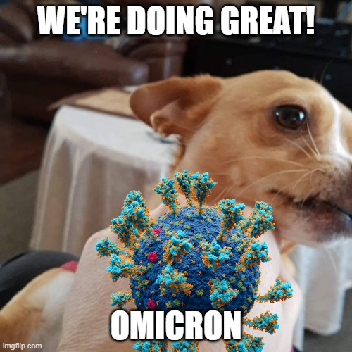 We're doing great | WE'RE DOING GREAT! OMICRON | image tagged in omicron,darnit,here we go | made w/ Imgflip meme maker