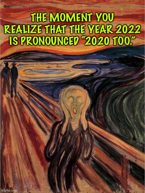 2022 | THE MOMENT YOU REALIZE THAT THE YEAR 2022 IS PRONOUNCED “2020 TOO.” | image tagged in 2022,the scream | made w/ Imgflip meme maker