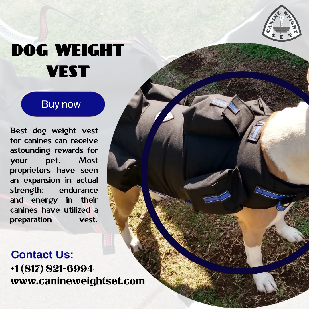 Dog Weight Vest Blank Meme Template