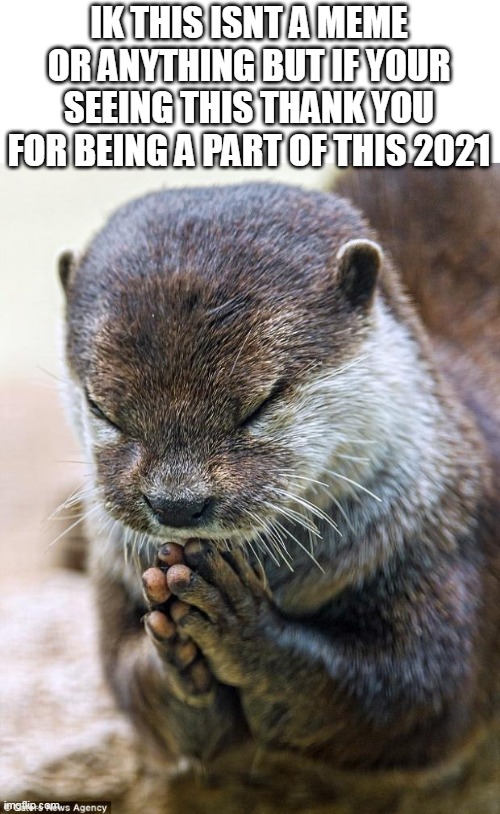 Thank you Lord Otter | IK THIS ISNT A MEME OR ANYTHING BUT IF YOUR SEEING THIS THANK YOU FOR BEING A PART OF THIS 2021 | image tagged in thank you lord otter | made w/ Imgflip meme maker