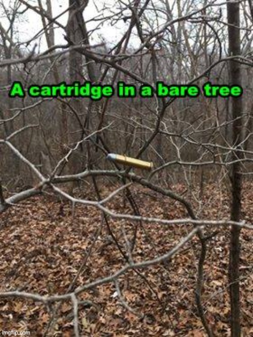 Pear Tree | . | image tagged in christmas | made w/ Imgflip meme maker