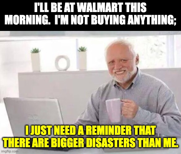Disaster | I'LL BE AT WALMART THIS MORNING.  I'M NOT BUYING ANYTHING;; I JUST NEED A REMINDER THAT THERE ARE BIGGER DISASTERS THAN ME. | image tagged in harold | made w/ Imgflip meme maker