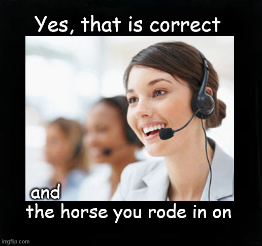 Yes, that is correct ... | Yes, that is correct; and 
the horse you rode in on | image tagged in cheerful f u | made w/ Imgflip meme maker