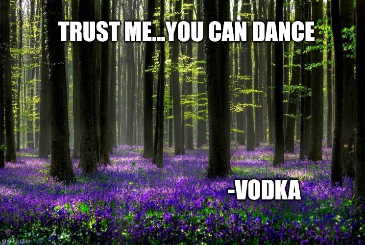 TRUST ME...YOU CAN DANCE; -VODKA | image tagged in funny memes | made w/ Imgflip meme maker