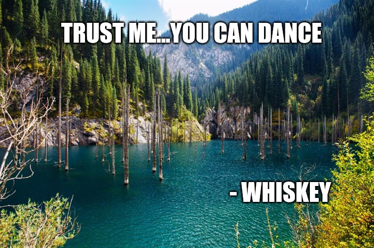TRUST ME...YOU CAN DANCE; - WHISKEY | image tagged in funny memes | made w/ Imgflip meme maker