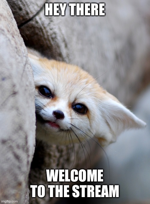 "Hey there..." | HEY THERE; WELCOME TO THE STREAM | image tagged in hey there | made w/ Imgflip meme maker