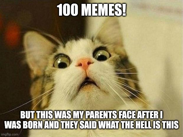 Scared Cat Meme | 100 MEMES! BUT THIS WAS MY PARENTS FACE AFTER I WAS BORN AND THEY SAID WHAT THE HELL IS THIS | image tagged in memes,scared cat | made w/ Imgflip meme maker