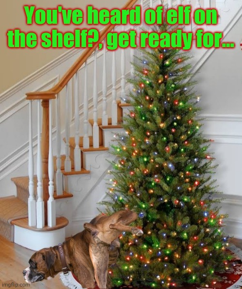 Naughty List Dog | You've heard of elf on the shelf?, get ready for... | image tagged in dog christmas tree,peeing,dog,naughty list,christmas memes | made w/ Imgflip meme maker