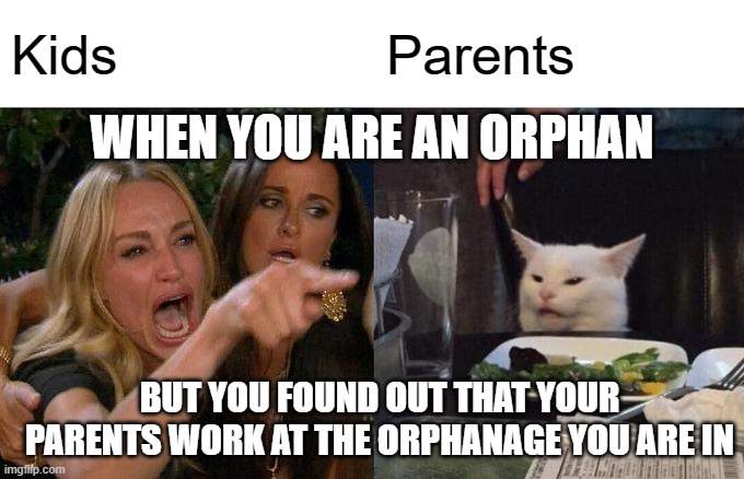 Orphan | Kids; Parents; WHEN YOU ARE AN ORPHAN; BUT YOU FOUND OUT THAT YOUR PARENTS WORK AT THE ORPHANAGE YOU ARE IN | image tagged in memes,woman yelling at cat | made w/ Imgflip meme maker