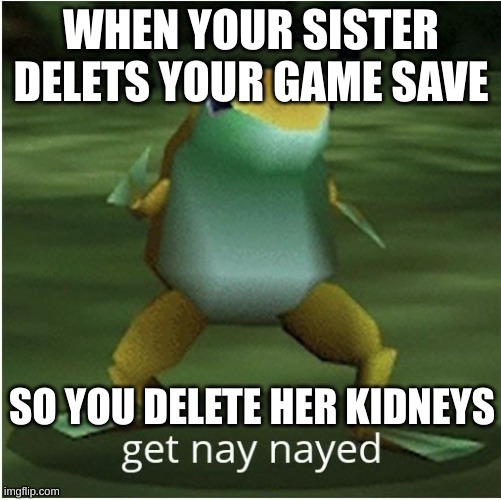 get nay nayed | WHEN YOUR SISTER DELETS YOUR GAME SAVE; SO YOU DELETE HER KIDNEYS | image tagged in get nay nayed | made w/ Imgflip meme maker