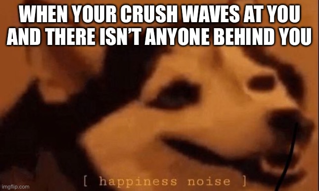 [happiness noise] | WHEN YOUR CRUSH WAVES AT YOU AND THERE ISN’T ANYONE BEHIND YOU | image tagged in happiness noise | made w/ Imgflip meme maker