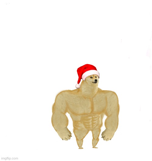 doge show is coming back | image tagged in memes,dogeshow | made w/ Imgflip meme maker