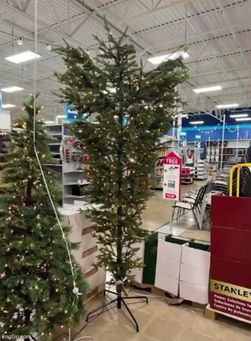 nice Christmas tree | image tagged in you had one job,christmas | made w/ Imgflip meme maker