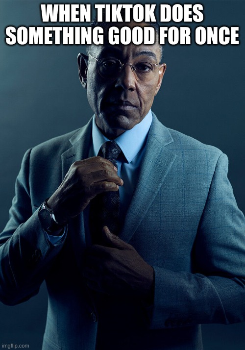 Gus Fring we are not the same | WHEN TIKTOK DOES SOMETHING GOOD FOR ONCE | image tagged in gus fring we are not the same | made w/ Imgflip meme maker