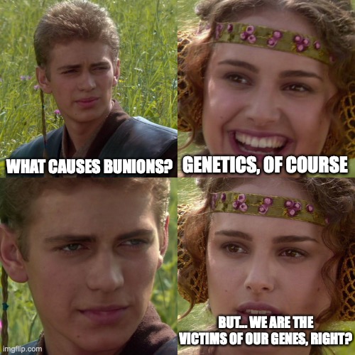 bunions |  WHAT CAUSES BUNIONS? GENETICS, OF COURSE; BUT... WE ARE THE VICTIMS OF OUR GENES, RIGHT? | image tagged in anakin padme 4 panel,foot,health,strength,genetics,biology | made w/ Imgflip meme maker
