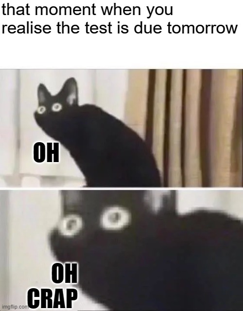 Oh No Black Cat | that moment when you realise the test is due tomorrow; OH; OH CRAP | image tagged in oh no black cat | made w/ Imgflip meme maker