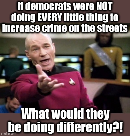 startrek | If democrats were NOT doing EVERY little thing to increase crime on the streets What would they be doing differently?! | image tagged in startrek | made w/ Imgflip meme maker