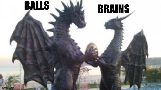 BALLS BRAINS | made w/ Imgflip meme maker