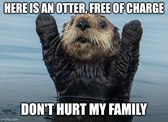 an otter | HERE IS AN OTTER, FREE OF CHARGE; DON'T HURT MY FAMILY | image tagged in hands up otter,help me | made w/ Imgflip meme maker