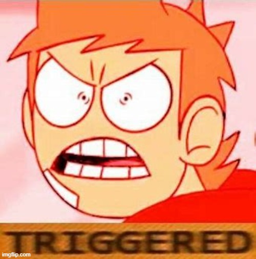 tord is triggered | image tagged in tord is triggered | made w/ Imgflip meme maker
