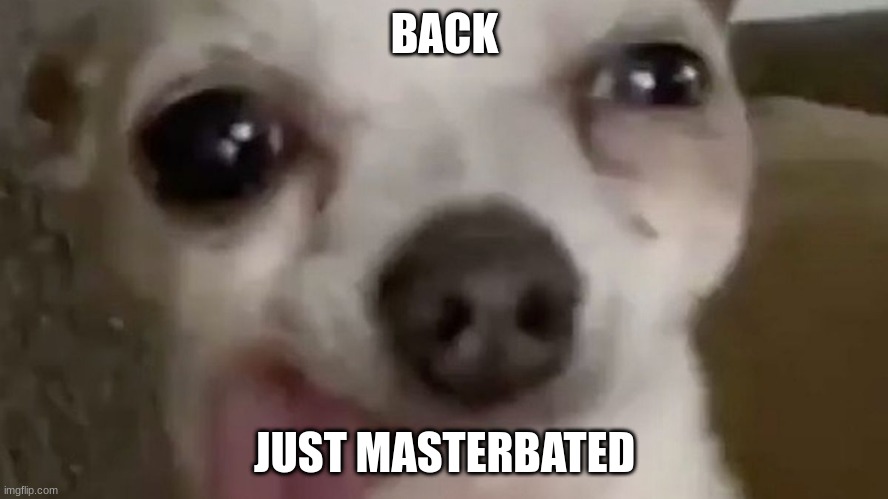 *crinj | BACK; JUST MASTERBATED | image tagged in yes,dog | made w/ Imgflip meme maker