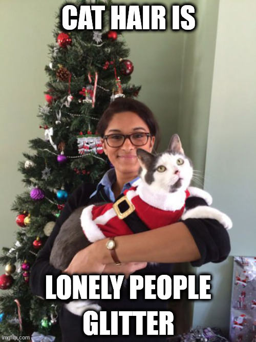 CAT HAIR IS; LONELY PEOPLE; GLITTER | image tagged in cats | made w/ Imgflip meme maker