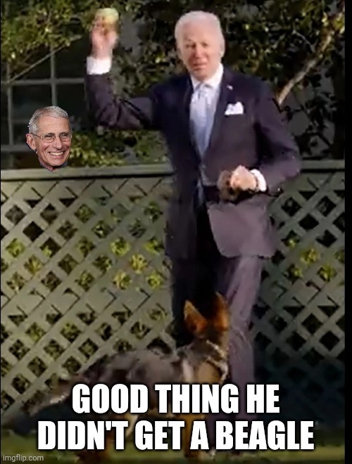  GOOD THING HE DIDN'T GET A BEAGLE | image tagged in joe biden,dog,fauci,experiment | made w/ Imgflip meme maker