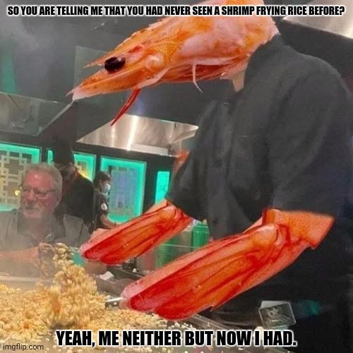 SO YOU ARE TELLING ME THAT YOU HAD NEVER SEEN A SHRIMP FRYING RICE BEFORE? YEAH, ME NEITHER BUT NOW I HAD. | image tagged in memes,shrimp,fry | made w/ Imgflip meme maker