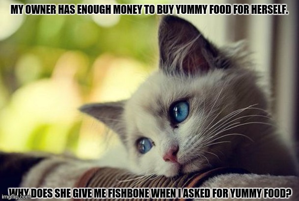 First World Problems Cat Meme | MY OWNER HAS ENOUGH MONEY TO BUY YUMMY FOOD FOR HERSELF. WHY DOES SHE GIVE ME FISHBONE WHEN I ASKED FOR YUMMY FOOD? | image tagged in memes,cat,fishy | made w/ Imgflip meme maker