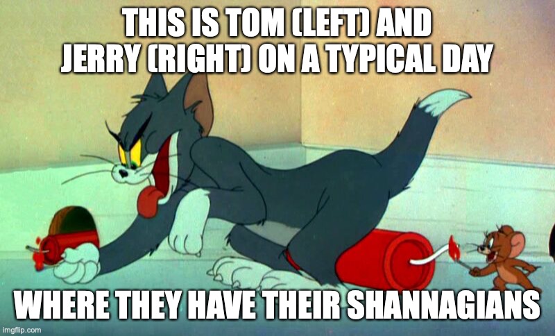 Tom and Jerry | THIS IS TOM (LEFT) AND JERRY (RIGHT) ON A TYPICAL DAY; WHERE THEY HAVE THEIR SHANNAGIANS | image tagged in funny,tom and jerry,memes | made w/ Imgflip meme maker