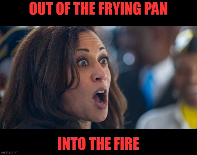 kamala harriss | OUT OF THE FRYING PAN INTO THE FIRE | image tagged in kamala harriss | made w/ Imgflip meme maker