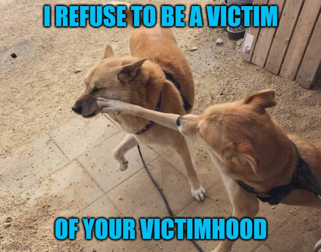 Stop it | I REFUSE TO BE A VICTIM OF YOUR VICTIMHOOD | image tagged in stop it | made w/ Imgflip meme maker