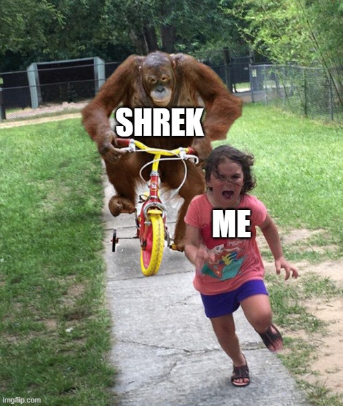 Shreky | SHREK; ME | image tagged in orangutan chasing girl on a tricycle | made w/ Imgflip meme maker