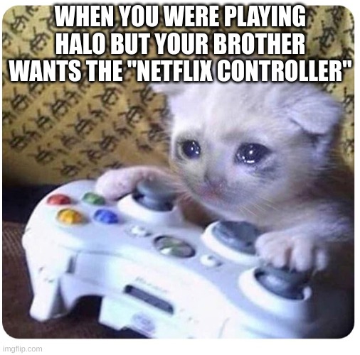 I'm Mostly a PC Gamer So... | WHEN YOU WERE PLAYING HALO BUT YOUR BROTHER WANTS THE "NETFLIX CONTROLLER" | image tagged in sad cat xbox,xbox,netflix,halo,barney will eat all of your delectable biscuits | made w/ Imgflip meme maker
