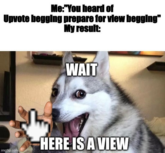 The more views the more you that no body liked your meme | Me:"You heard of Upvote begging prepare for view begging"
My result:; WAIT; HERE IS A VIEW | image tagged in pun dog - husky | made w/ Imgflip meme maker