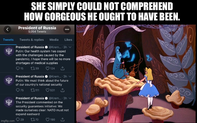 AI in Wonderland | SHE SIMPLY COULD NOT COMPREHEND HOW GORGEOUS HE OUGHT TO HAVE BEEN. | image tagged in alice in wonderland,vladimir putin,press conference,military,twitter | made w/ Imgflip meme maker