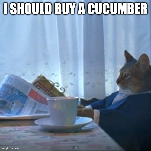 Cat reading the paper | I SHOULD BUY A CUCUMBER | image tagged in cat reading the paper | made w/ Imgflip meme maker