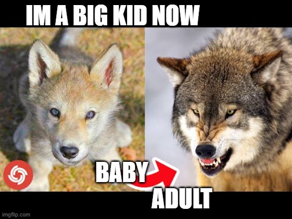 im a big kid now | IM A BIG KID NOW; BABY                            ADULT | image tagged in im a big kid now,tiktok,memes | made w/ Imgflip meme maker