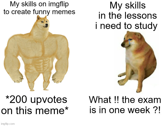 My priotities xD | My skills on imgflip to create funny memes; My skills in the lessons i need to study; *200 upvotes on this meme*; What !! the exam is in one week ?! | image tagged in memes,buff doge vs cheems | made w/ Imgflip meme maker