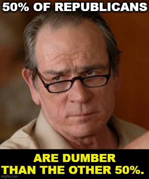Seriously. | 50% OF REPUBLICANS; ARE DUMBER THAN THE OTHER 50%. | image tagged in tommy lee jones are you serious,gop,republicans,dumb,dumb and dumber | made w/ Imgflip meme maker