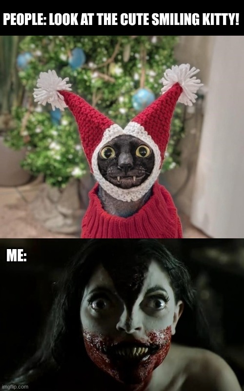 Horror Perspective | PEOPLE: LOOK AT THE CUTE SMILING KITTY! ME: | image tagged in creepy smile,cat,lily the succubus,horror | made w/ Imgflip meme maker