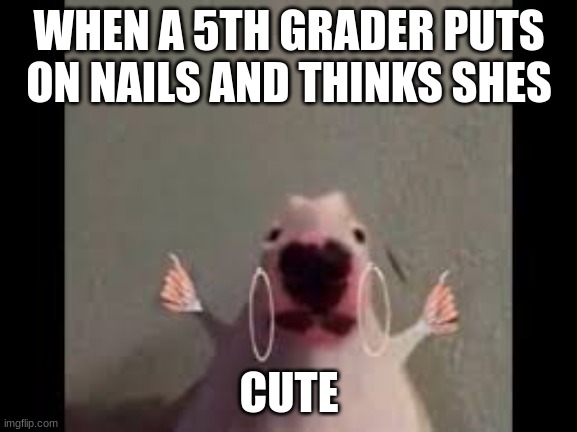 5th grade | WHEN A 5TH GRADER PUTS ON NAILS AND THINKS SHES; CUTE | image tagged in funny,creepy condescending wonka | made w/ Imgflip meme maker