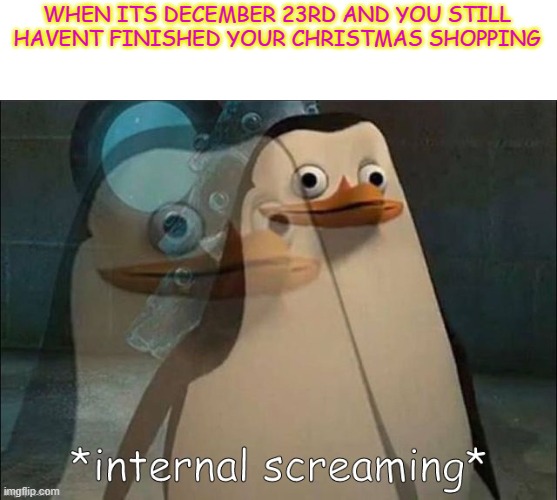 WHY IS IT SO HARD TO FIGURE OUT WHAT TO GET MY PARENTS HELP | WHEN ITS DECEMBER 23RD AND YOU STILL HAVENT FINISHED YOUR CHRISTMAS SHOPPING | image tagged in private internal screaming,help me,christmas,parents,barney will eat all of your delectable biscuits,stop reading the tags | made w/ Imgflip meme maker