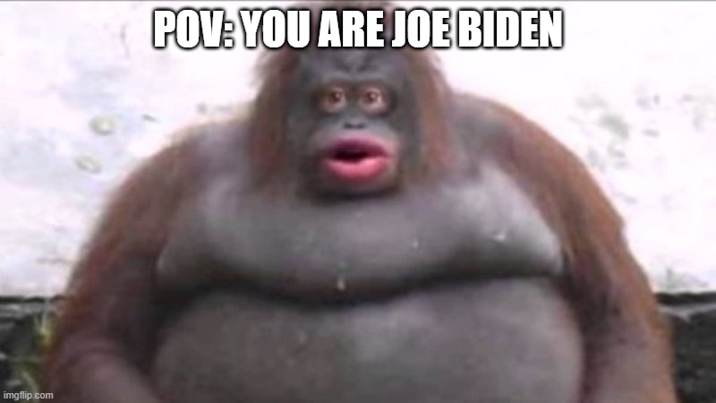 POV: Your are Joe Biden | POV: YOU ARE JOE BIDEN | image tagged in uh oh stinky,joe biden,politics,funny memes,funny,america | made w/ Imgflip meme maker