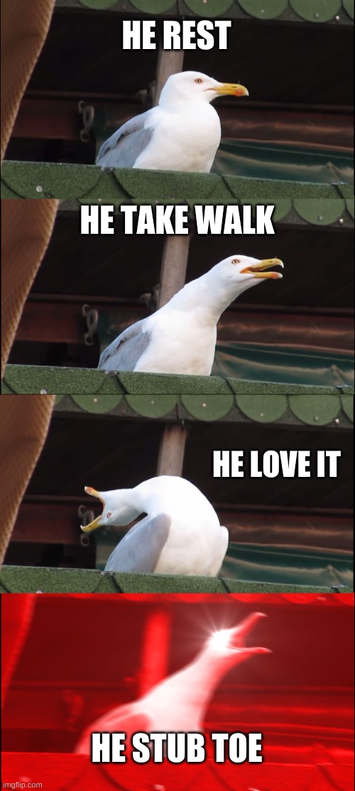 Inhaling Seagull Meme | HE REST; HE TAKE WALK; HE LOVE IT; HE STUB TOE | image tagged in memes,inhaling seagull | made w/ Imgflip meme maker